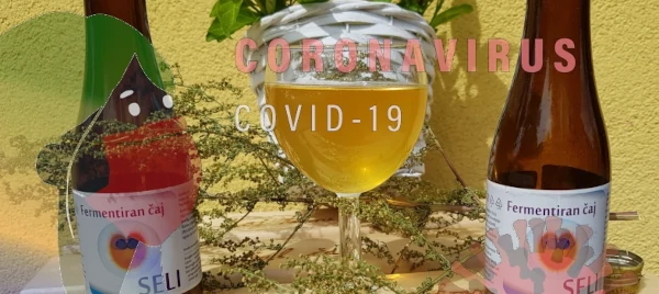 Sladki pelin “zdravilo” za COVID-19?
