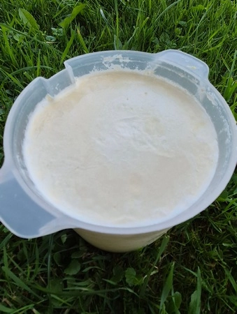SIBO jogurt Kmetija Jovan Selišnik