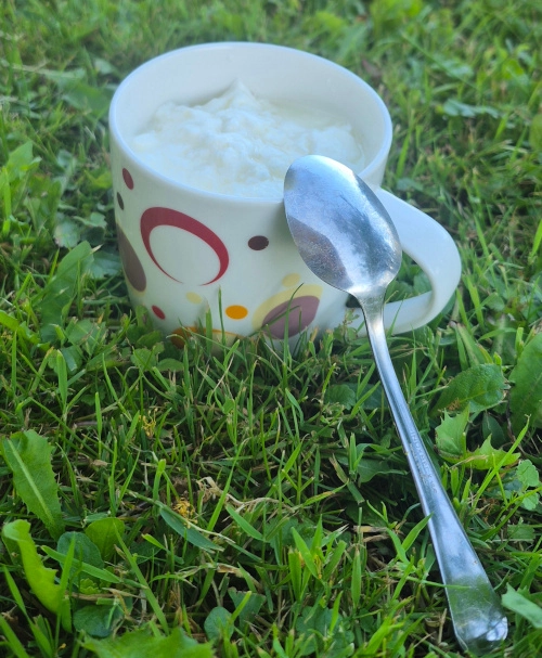 SIBO jogurt Kmetija Jovan Selišnik